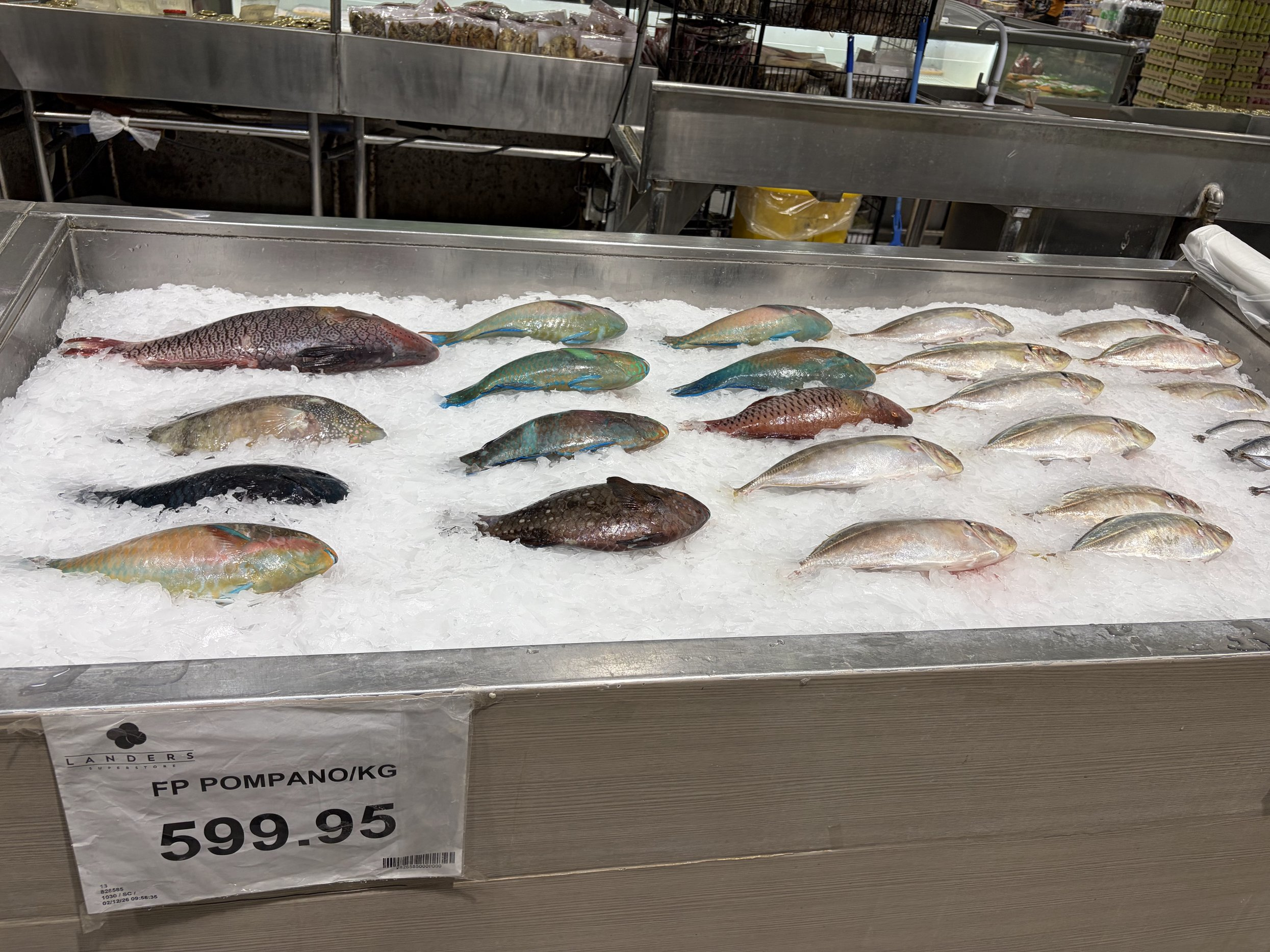 魚コーナー